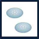 Siirry ryhmään Festool Granat 225 mm