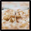 Imuvarret Siirry ryhmään Imuvarret