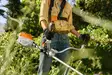 STIHL FSA 80 Akkutrimmeri Setti AK 30 akulla ja AL 101 latauslaitteella - Compact akkukoneet - FA080115710 - 6