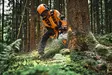 STIHL MOOTTORISAHA MS 300 C-M 40 cm / 16" laipalla - STIHL Moottorisahat ammattikäyttöön - MB022000001 - 4