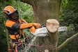 STIHL MSA 220 TC-O Akkumoottorisaha 35 cm runko - Moottorisahat puunhoitoon - MA012000051 - 4