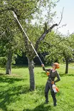 STIHL HTA 135 Oksasaha runko - STIHL AP Pro akkukoneet - LA012000002 - 2