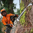 STIHL MS 500i W MOOTTORISAHA - Moottorisahat ammattikäyttöön - 11472000003 - 5