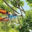 MAKITA Ketjusaha LXT 18V DUC258Z - Makita LXT 18V Ketjusahat - 197050016393 - 13