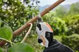 STIHL Akkukäyttöiset oksasakset ASA 20 Setti - Pienakkukoneet - 886661309283 - 7