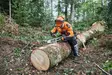 STIHL DYNAMIC Light kypäräsarja - Kuulosuojaimet, visiirit ja kypärät - 886661694273 - 2