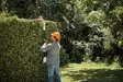 STIHL AKKUPENSASLEIKKURI HLA 56 RUNKO - STIHL AK Compact akkukoneet - HA010112914 - 4
