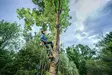 STIHL MSA 240 T akkukäyttöinen puunhoitomoottorisaha - STIHL Akkukäyttöiset moottorisahat - MA012000154 - 11