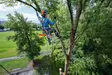 STIHL MSA 240 T akkukäyttöinen puunhoitomoottorisaha - STIHL Akkukäyttöiset moottorisahat - MA012000154 - 10