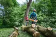 STIHL MSA 240 T akkukäyttöinen puunhoitomoottorisaha - STIHL Akkukäyttöiset moottorisahat - MA012000154 - 9