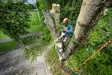 STIHL MSA 240 T akkukäyttöinen puunhoitomoottorisaha - STIHL Akkukäyttöiset moottorisahat - MA012000154 - 6