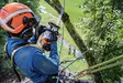 STIHL MSA 240 T akkukäyttöinen puunhoitomoottorisaha - STIHL Akkukäyttöiset moottorisahat - MA012000154 - 7