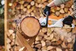 STIHL MSA 80 C-B Timbersport 40-year Limited edition Setti - Akkukäyttöiset moottorisahat - MA040115834 - 5