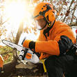 STIHL MS 151 TC-E PUUNHOITOMOOTTORISAHA - Moottorisahat puunhoitoon - 11462000057 - 3