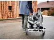 FESTOOL KSC 60 EB-Basic-Set-UG Akkukatkaisusaha 578755 - Festool 18V Akkujiirisahat - 4014549464878 - 6