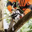 STIHL MSA 161 T AKKUKÄYTTÖINEN PUUNHOITISAHA 30CM - STIHL Moottorisahat puunhoitoon - 125220000068 - 3