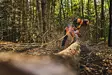 STIHL MSA 260 C-O AKKUMOOTTORISAHA 35CM SETTI AP 200.0 P Akulla - STIHL Akkukäyttöiset moottorisahat - MA062000005SET - 9