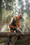 STIHL MSA 260 C-O AKKUMOOTTORISAHA 35CM SETTI AP 200.0 P Akulla - STIHL Akkukäyttöiset moottorisahat - MA062000005SET - 13