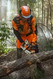 STIHL MSA 260 C-O AKKUMOOTTORISAHA 35CM SETTI AP 200.0 P Akulla - STIHL Akkukäyttöiset moottorisahat - MA062000005SET - 12
